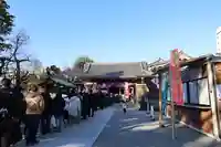 浅草神社の初詣