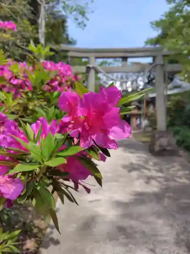 遠見岬神社(千葉県)