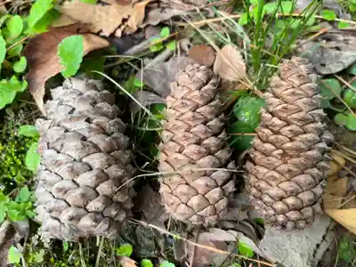 鞆江神社（明地）(愛知県)