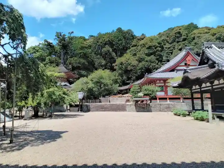金剛寺(大阪府)