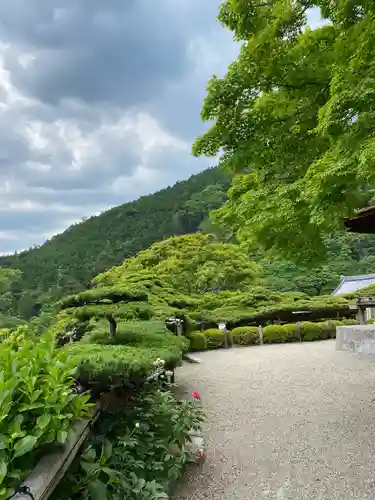 善峯寺の庭園