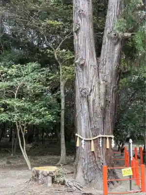 息栖神社(茨城県)