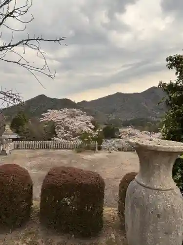 和田寺(兵庫県)