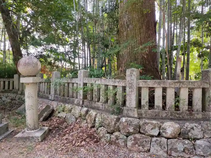 朝倉神社の自然