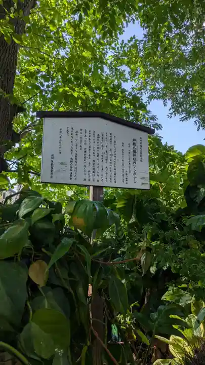 戸越八幡神社(東京都)