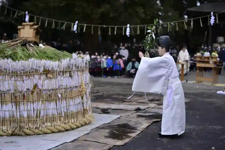 大宮八幡宮のお祭り