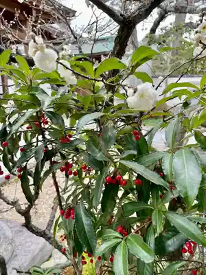 観音院(兵庫県)