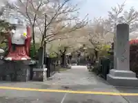 浄心寺の御朱印