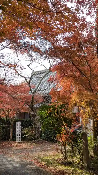 乗願寺(京都府)