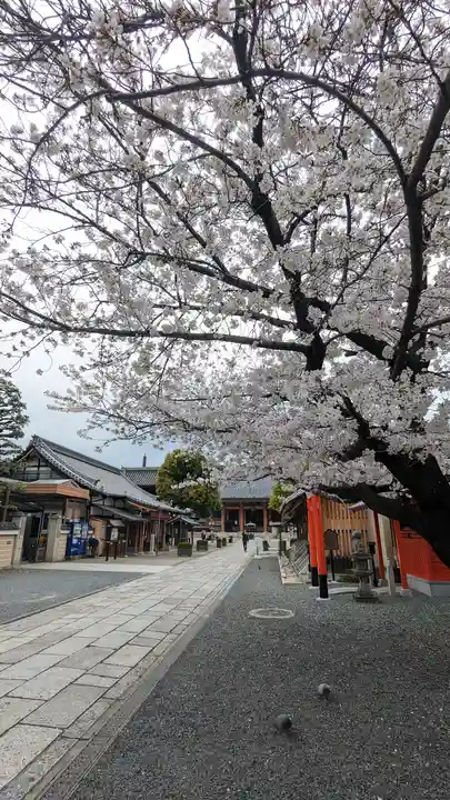 壬生寺(京都府)
