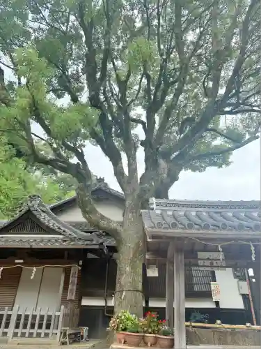 祇園神社(兵庫県)