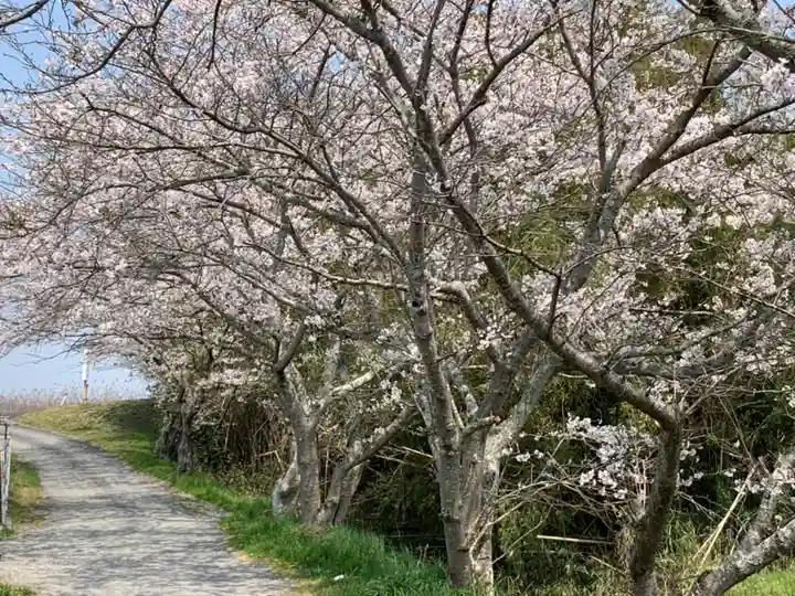 牟禮山観音禅寺の自然