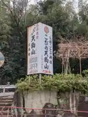 古井の天狗山の建物その他