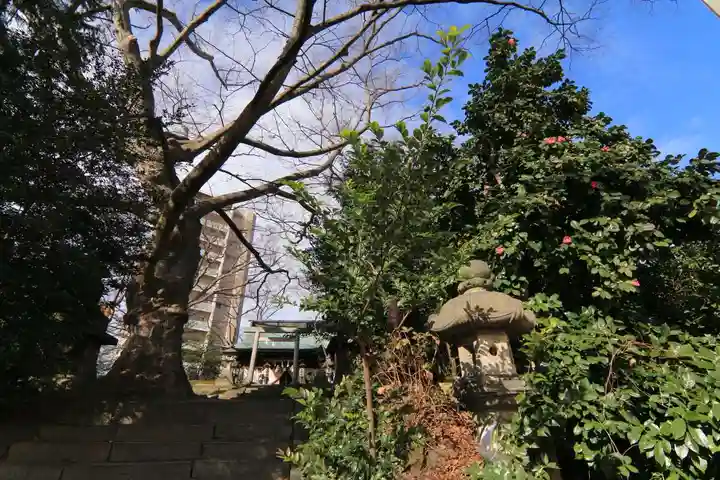 愛宕神社の自然