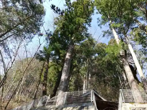 大峯不動尊のその他建物