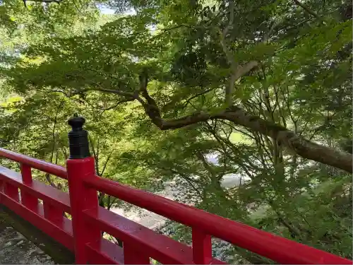 養父神社(兵庫県)