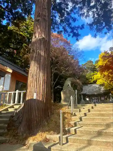 陸奥総社宮(宮城県)