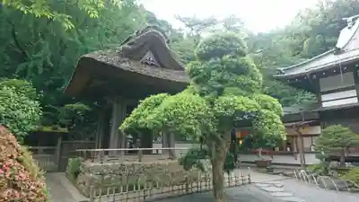 報国寺(神奈川県)