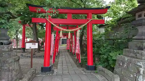 於菊稲荷神社の鳥居