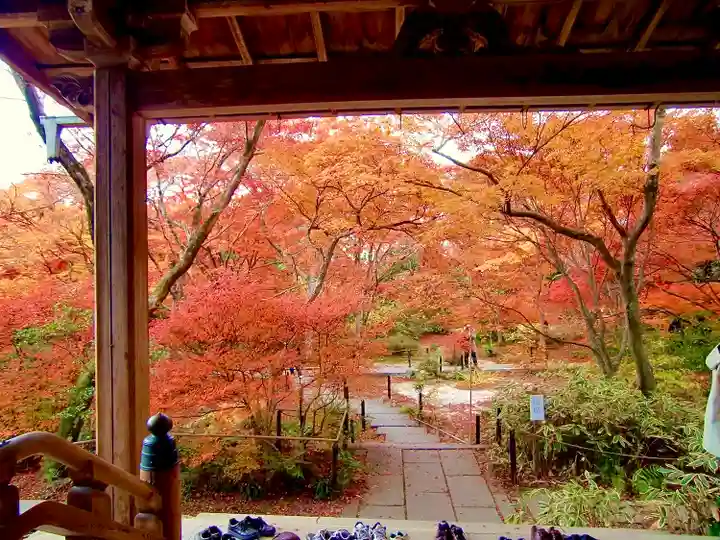 宝筐院(京都府)
