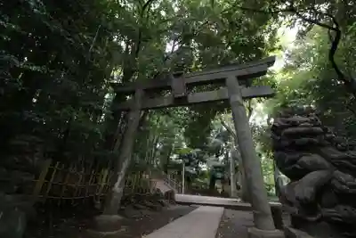 渋谷氷川神社(東京都)