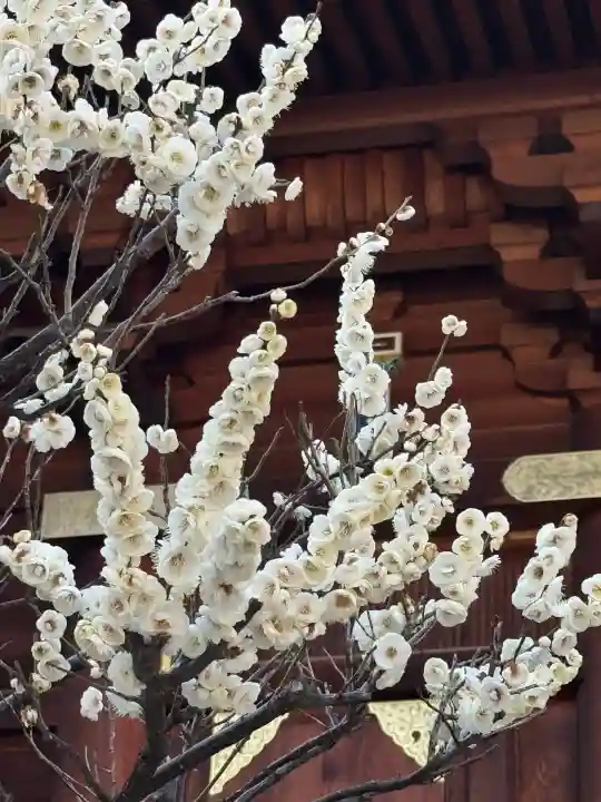 湯島天満宮の{uncategorized: "未分類", other: "その他", undefined: "問題あり", building: "その他建物", grave: "お墓", sacred_gate: "鳥居", guardian: "狛犬", statue: "像", buddha: "仏像", history: "歴史", nature: "自然", garden: "庭園", animal: "動物", pagoda: "塔", temizu: "手水舎", mountain_gate: "山門・神門", sanctuary: "本殿・本堂", subordinate: "末社・摂社", art: "芸術", scenery: "景色", jizo: "地蔵", ema: "絵馬", goshuin: "御朱印", omikuji: "おみくじ", items: "授与品その他", amulet: "お守り", goshuincho: "御朱印帳", eats: "食事", festival: "お祭り", votive_dance: "神楽", shichigosan: "七五三参", wedding: "結婚式", experience: "体験その他", initially: "初詣", around: "周辺", anti_infection: "感染症対策"}