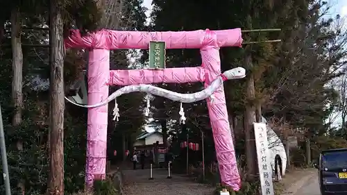 下野 星宮神社の鳥居