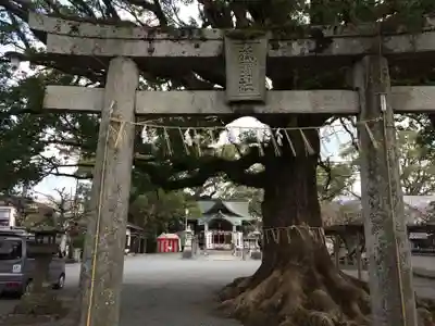 須賀神社(福岡県)