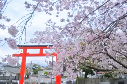 富士山本宮浅間大社(静岡県)