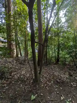 川除御霊神社(兵庫県)