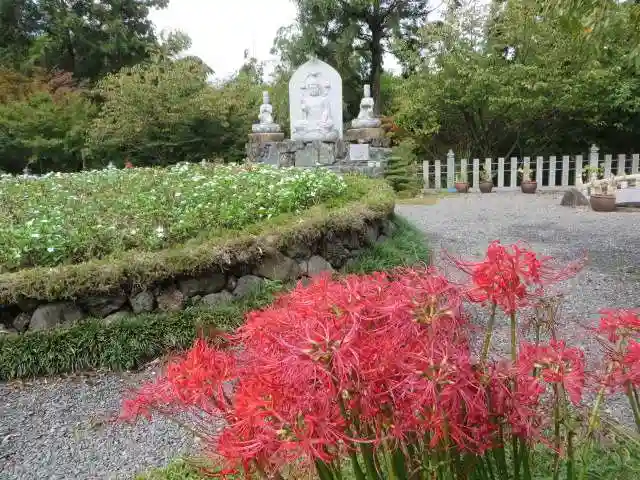 正法寺(京都府)