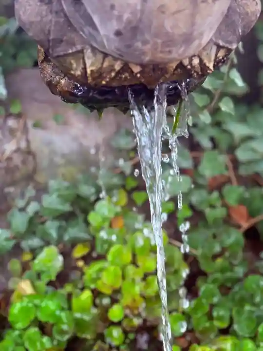 松戸神社(千葉県)