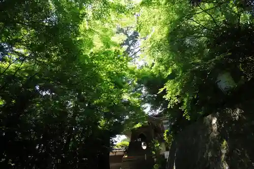 松源寺のその他建物