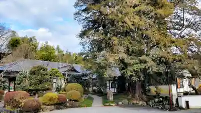 崇禅寺(群馬県)