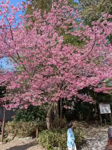 櫻木神社(千葉県)