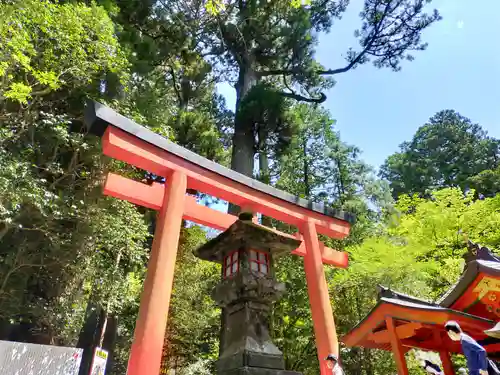 箱根神社の鳥居