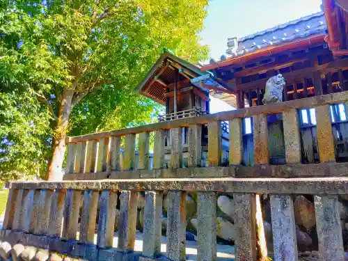 白鬚神社（上中町一色）の本殿・本堂