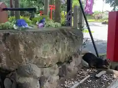 飯福神社(群馬県)