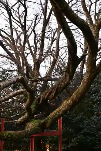 八大龍王水神(宮崎県)