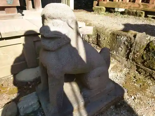 雷電神社総本宮の狛犬