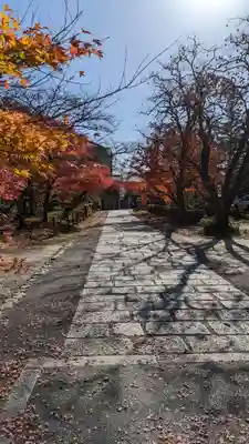 神光院(京都府)