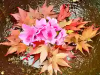 真言宗 善通寺派 薬王寺(香川県)