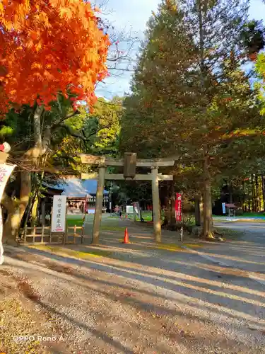 志賀理和氣神社の鳥居