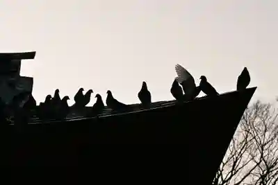 糸碕神社(広島県)