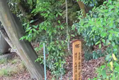 新宮神社の自然