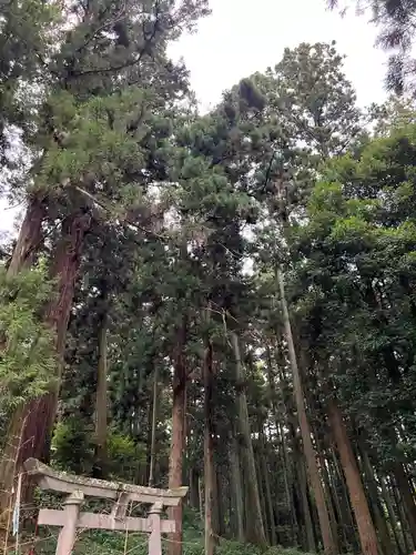 大宮温泉神社の鳥居