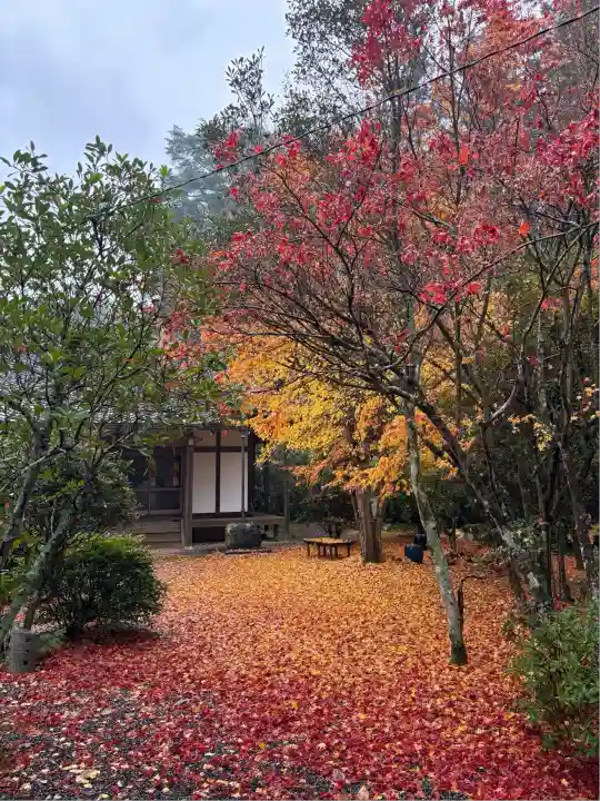 金剛定寺(滋賀県)