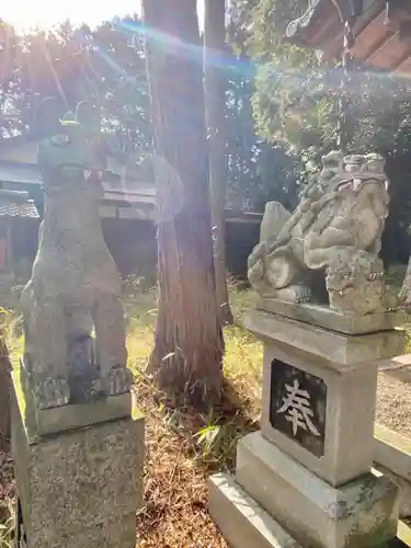 八坂神社の狛犬