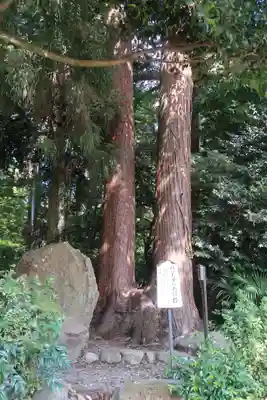劒神社(福井県)