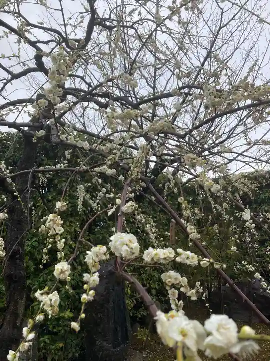 元興寺(奈良県)